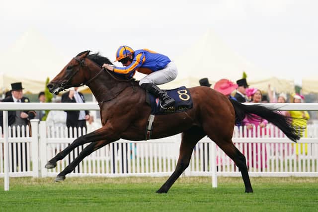 “It looks a fascinating renewal, Paddington is seeking a fifth successive Group One and he’s taking on Mostahdaf, who was so impressive at Royal Ascot,” said William Derby, York’s chief executive and clerk of the course.