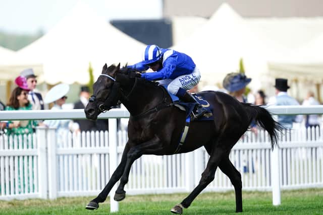 “He benefited from time between Saudi Arabia and running in Dubai through to June and, again, we’ve taken a similar spacing with him. He’s fine.”