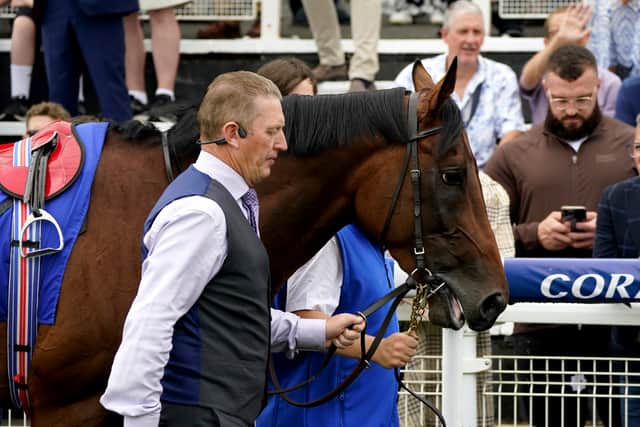 It has been a phenomenal rise to the top for Paddington, who was competing in handicap company at the beginning of the season but has progressed through the ranks to become a multiple Group One winner and one of the best colts in training.