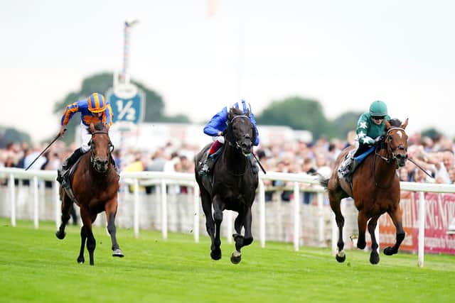 “Frankie proved a good substitute to have on the day. We weren’t too worried changing tack because this horse has won over a mile and a half, as long as Frankie got the pace right.”