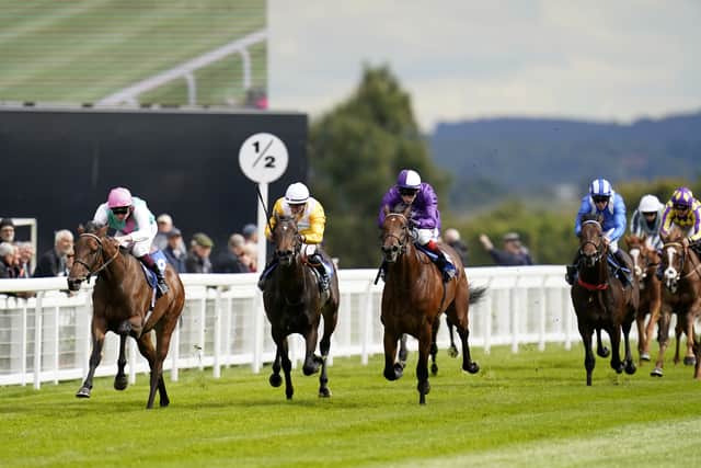 Bluestocking remains without a win this year, but her run at the Curragh was another big step forward from her third place in the Ribblesdale at Royal Ascot, behind Warm Heart.