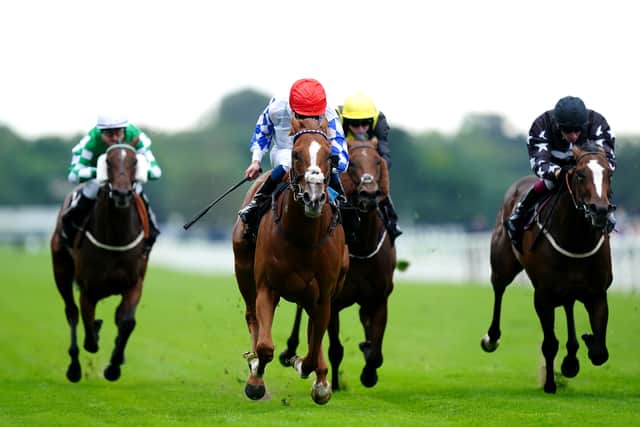 Last year it was David Egan in the saddle aboard John Butler’s three-year-old, but it was William Buick who did the steering this time as the daughter of Pearl Secret got motoring late on to edge out the 40-1 outsider Rage Of Bamby by a neck at the finish.