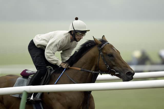 That international success at Nakayama proved to be his last for Cumani’s fellow Italian Luciano d’Auria as Falbrav moved to Newmarket for what proved to be his final campaign.