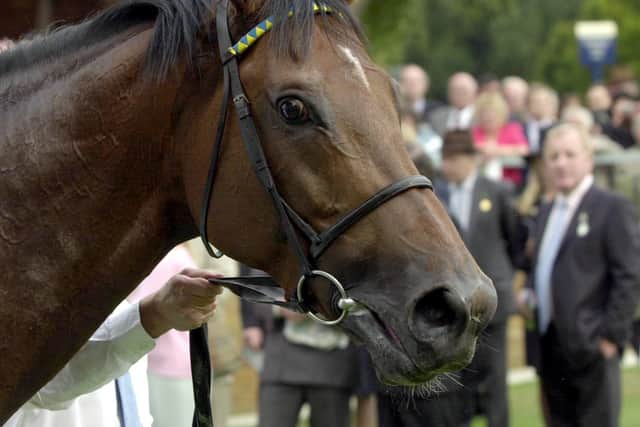 “It was fantastic, that win in Hong Kong again showed what a good horse he was. He did it very easily and showed his trademark turn of foot with a couple of furlongs to run.”