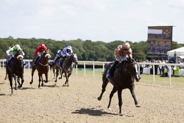 “I think York looks set fair, whereas Newbury at the weekend could be quite wet.”