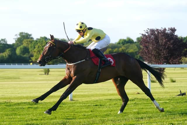 “We’re lucky that we have Robson (Aguiar) who is a great man at sourcing these horses and has a great track record of buying horses which turn into nice horses, so a big part of the success is down to him.”