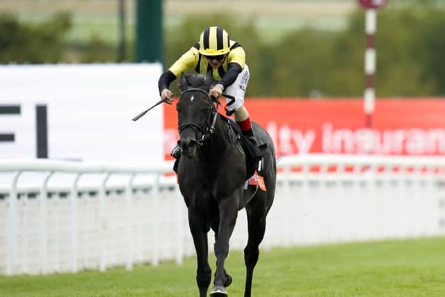 “He has done nothing wrong and won his only two races so far,” said Chris Wall, racing manager for owners KHK Racing Ltd.