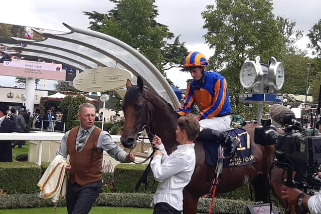 Head added: “It will be an honour to bring a new idol into racing and I feel lucky to have the confidence of owners who will send me these tremendous horses.”