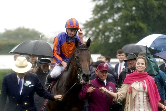 Having secured his fourth Group One victory of the season in the Sussex Stakes at Goodwood last week, Aidan O’Brien’s three-year-old has been entered for the both the £1.3million Qipco Champion Stakes and the £1.1million Queen Elizabeth II Stakes.