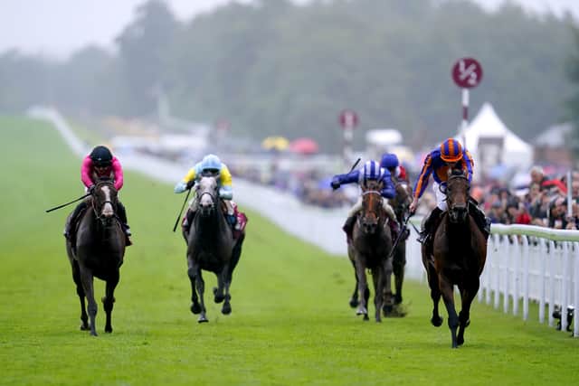 His next destination was the Sussex Stakes at Goodwood, another Group One for which he was a 11-1 shot under Maxime Guyon.