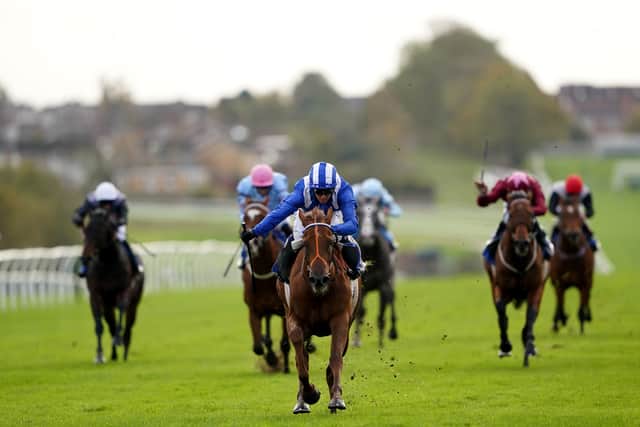 “Paddington is a serious horse. He is a bit of a superstar, but we’re fresh and he’s had a few more races than us. The weight allowance might make a difference and she’s in good form.”