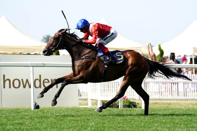 For now it is Goodwood, with O’Brien adding: “The Sussex Stakes is a very prestigious race that has stood the test of time. For a horse going to stud, it is very important with it being the first time the three-year-olds can take on the older milers.”