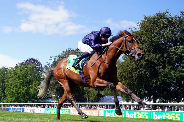 His effort saw him leap over stablemate River Tiber at the head of the Classic market, and already-short post-race prices for the Guineas quickly came under pressure, with Coral’s 7-2 not lasting long before becoming 5-2. Paddy Power quoted 4-1 about the Derby.