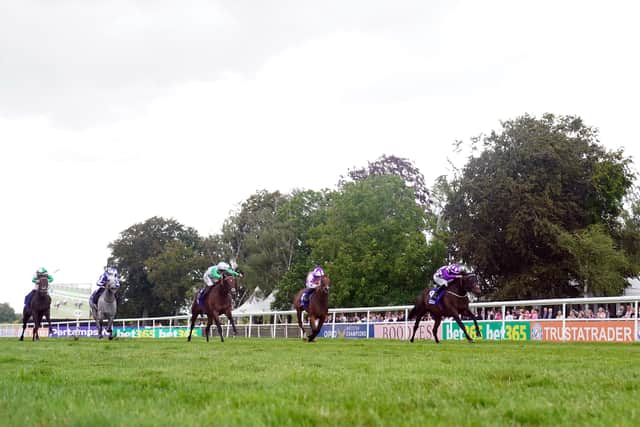 Having become the first female trainer to break the £1million mark in prize-money in a season, Camachco composed herself thereafter and added: “It is brilliant. It is not as if it is an overnight success.