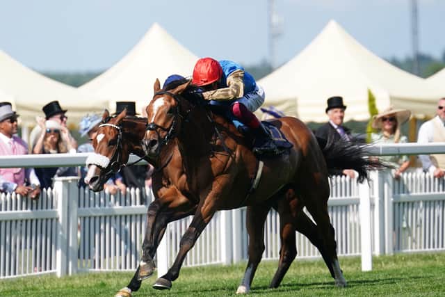 “You never know until you run at Goodwood whether they will handle the track, but he seems a well-balanced horse and the long straight will be in his favour.”