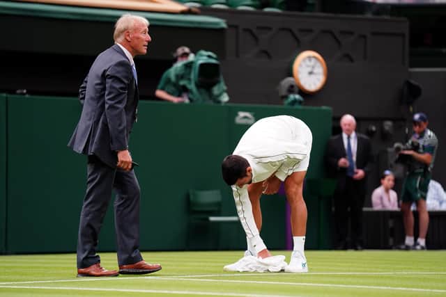Picture of the day