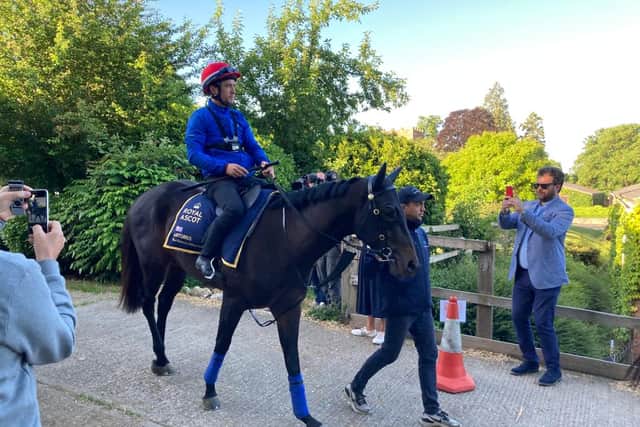Highfield Princess back for more in Jubilee challenge