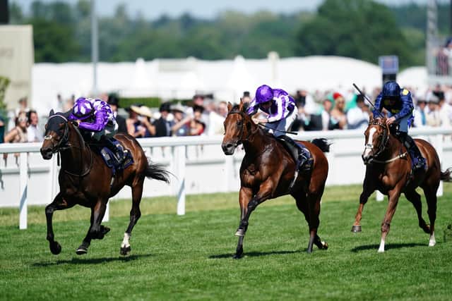 “He just relaxed and raced in a rhythm but all of that was far from the plan! It worked out well in the end.”