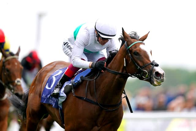 Burrows stated he would walk the track before racing on Saturday but just after 7.30am confirmation came through that Hukum had been taken out.