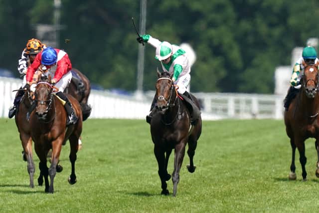Hills said: “I’ve always believed in him, he does have his quirks but most sprinters do. It’s just amazing that we’ve got to where we have now at his age, he was down at 104 I think on his last start.