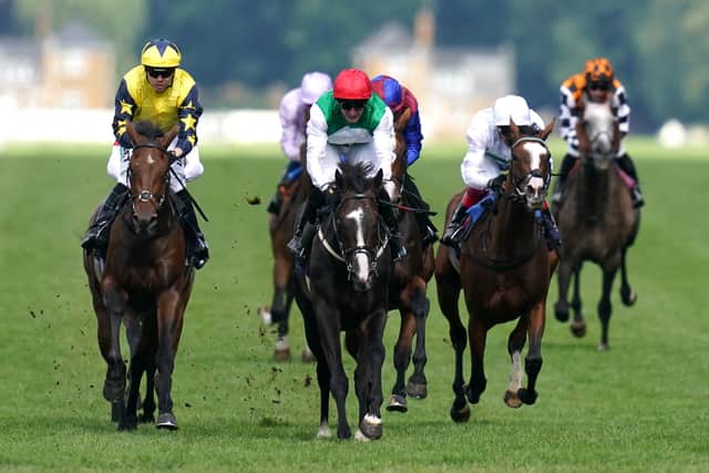 “Martin Dwyer did a lot towards making this horse and he knows how he can roll around like he did today.