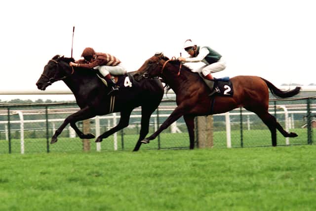 “I remember it well because he took the daring route on the inside, going between runners and against the stands rail,” Cumani recalled.