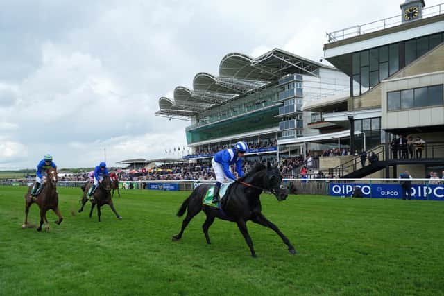 David Simcock saddles both Cash and Light Infantry after the latter went close in the Prix d’Ispahan last month, while Charlie Hills’ Mutasaabeq accounted for both Native Trail (second) and Light Infantry (third) when a good winner of the rearranged Bet365 Mile at Newmarket on his seasonal return and then had excuses when fifth in the Lockinge most recently.