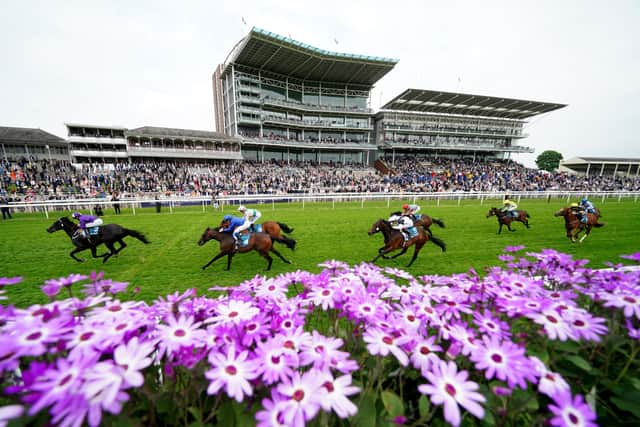 Pennington added: “Cuban Thunder is a lovely horse, a big, scopey horse and a good-moving horse.