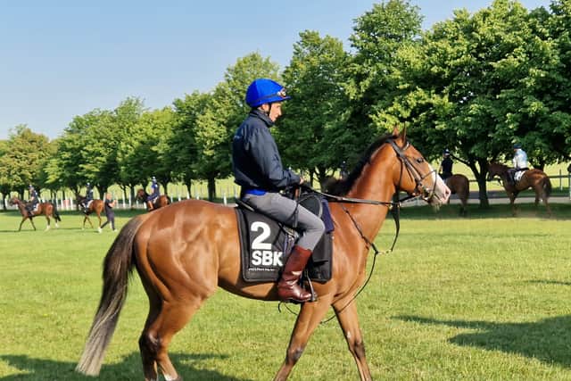 “Confidence is not a word I would use with so many similarly unexposed promising two-year-olds in here, but I’ll just say he is in very good shape for this. We will see how being drawn six of 22 unfolds.”