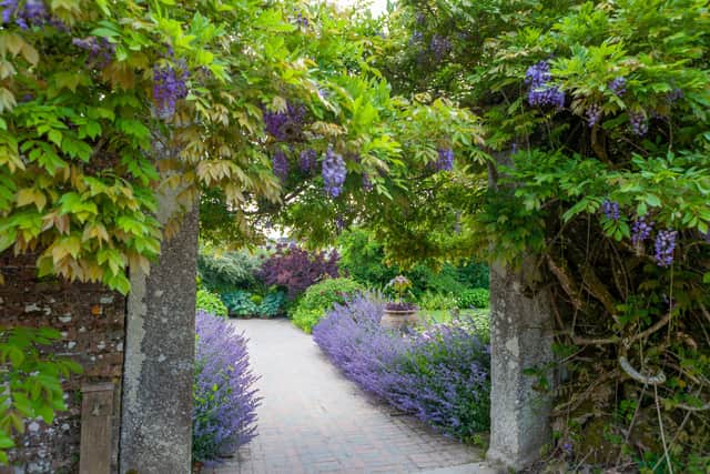 6. The Lost Gardens of Heligan, St Austell, Cornwall (open daily)