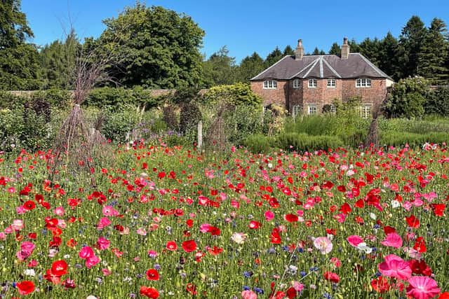 7. Gordon Castle Walled Garden, Fochabers, Moray, Scotland (open daily)