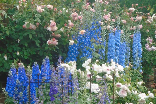 8. Old Bladbean Stud Gardens, Canterbury, Kent (open through NGS Jul 9 and 23)