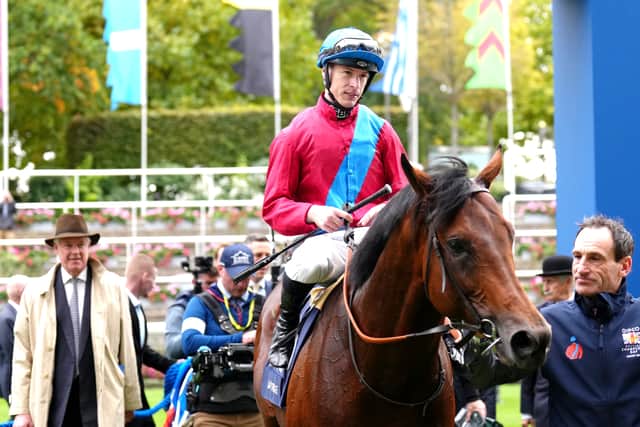 Consequently, Bay Bridge is joint-third best in the betting with My Prospero, although with plenty of rain falling ahead of the start of the meeting and heavy showers in the forecast, connections return to Ascot with plenty of optimism.