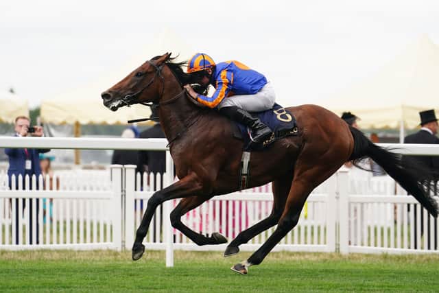 “The lads will have to think about whether he stays at a mile for something like the Sussex or goes up in trip. He has all the options because he obviously has the speed of a top miler but he’s bred to get further. The lads always said – John (Magnier) said to me – that this horse would get further than a mile if you wanted him to, no problem.”