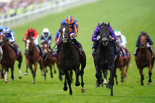 Of course it did not. On soft ground Auguste Rodin never looked happy and a collision with stablemate Little Big Bear meant he never got involved. The fact Little Big Bear was able to bounce back from his own disappointment last week at Haydock will no doubt have given the team some hope, though.
