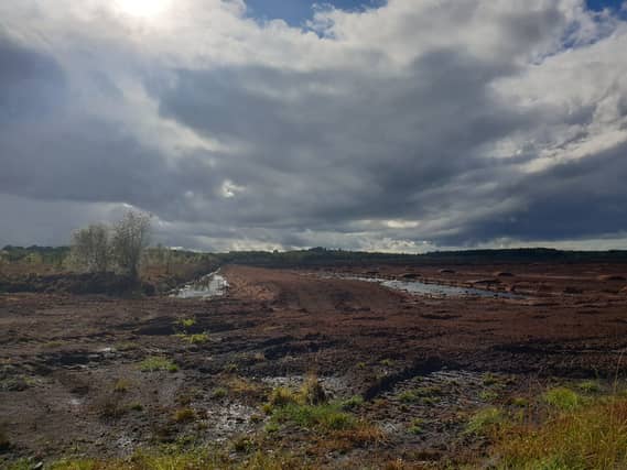An Offaly Bord na Mona bog undergoing rewetting. The EU plans to extend this practice to other land, including reclaimed farmland