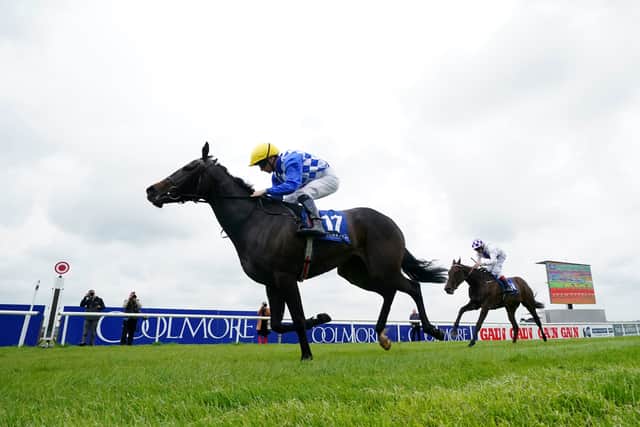 Like the winner, she had a busy juvenile campaign, running six times, although she was trying a mile for the first time, having finished runner-up to Never Ending Story at Leopardstown on her three-year-old debut.
