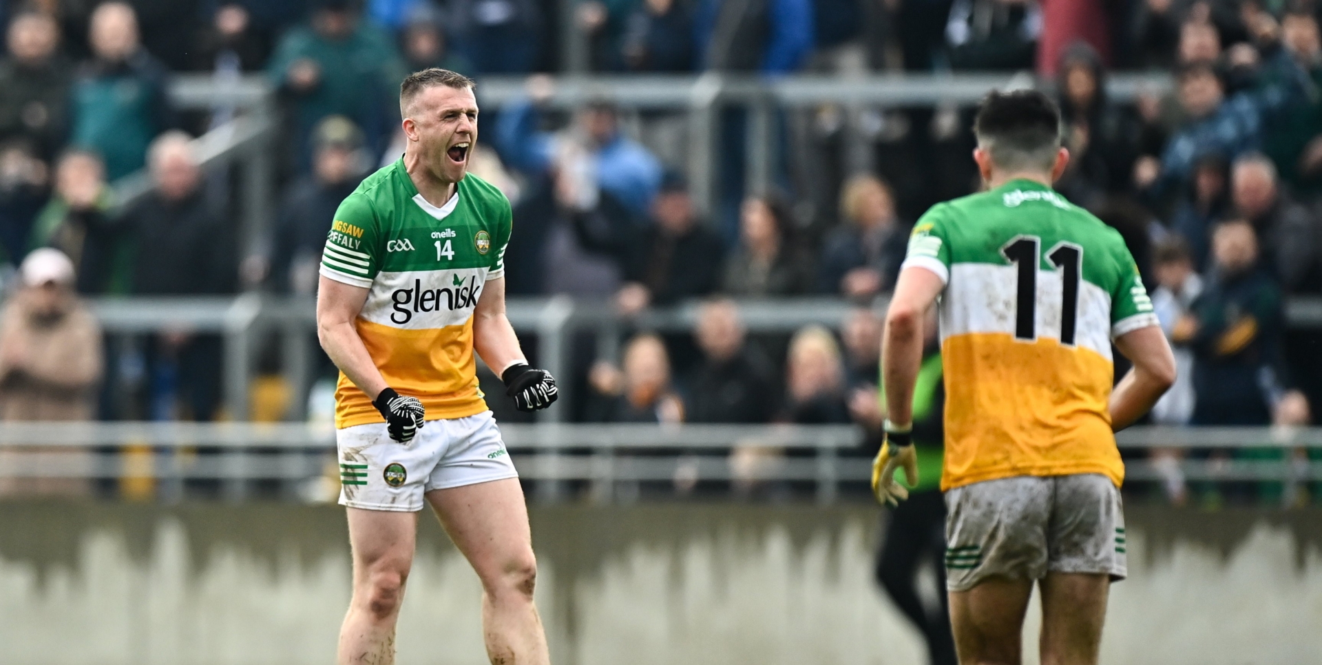 Nigel Dunne and Ruari McNamee celebrating a great Offaly win.
