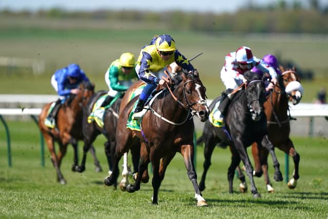 “We don’t have any plans, but she’s a filly we’ll be looking for some black type for pretty soon.”