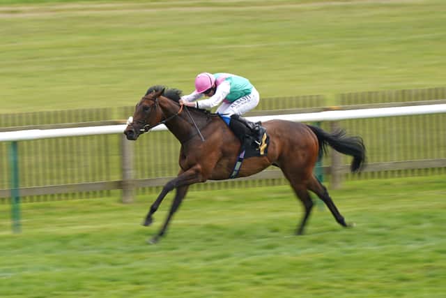 “We’ve got to sit back and think and give him a couple of pieces of work once he’s freshened up. There are no plans at the moment.”