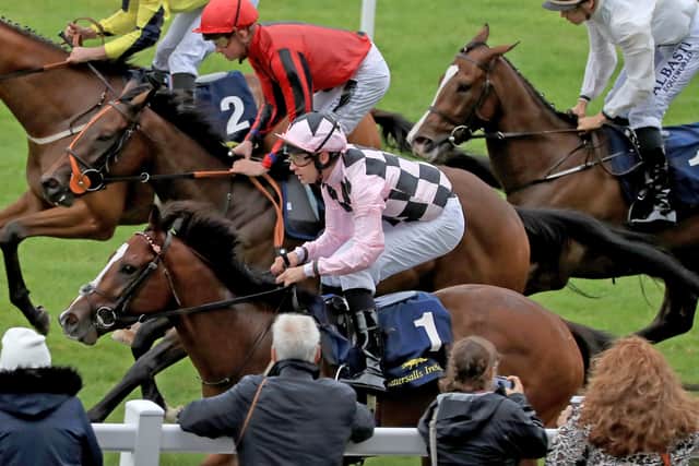 “He’s not the biggest horse and he hasn’t grown, but he’s filled out and muscled up. He seems in great form.