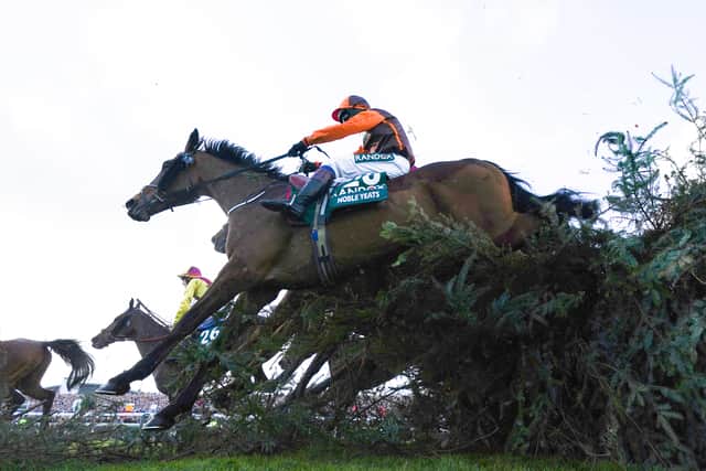 “There was never any reason to worry. He gallops and he jumps, what more do you want?”
