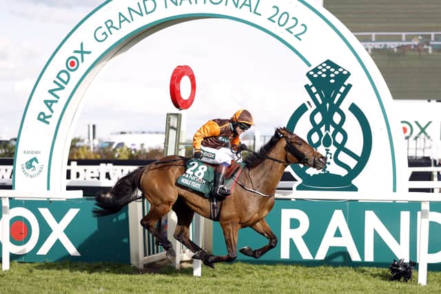 “At the weights launch he was about 16-1 or 20-1. I suppose his run at Cheltenham in the Ultima was a bit disappointing but it was a big, competitive field and he was in among the hustle and bustle of it.