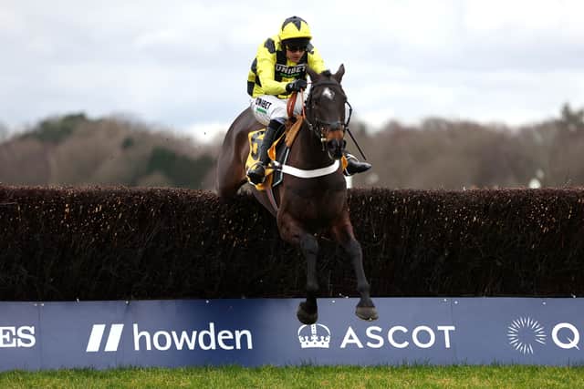 Shishkin was duly sent off the evens favourite for the Ryanair Chase at Cheltenham but he was slow to stride and a bad mistake three fences from home cost him valuable momentum, with the gelding eventually staying on to finish a two-and-three-quarter-length second to Envoi Allen.