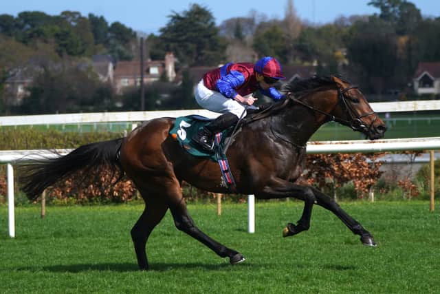 O’Brien was pleased with the performance, particularly considering the heavy ground, and is considering the Irish or French Guineas, plus the French Derby for his Classic targets.