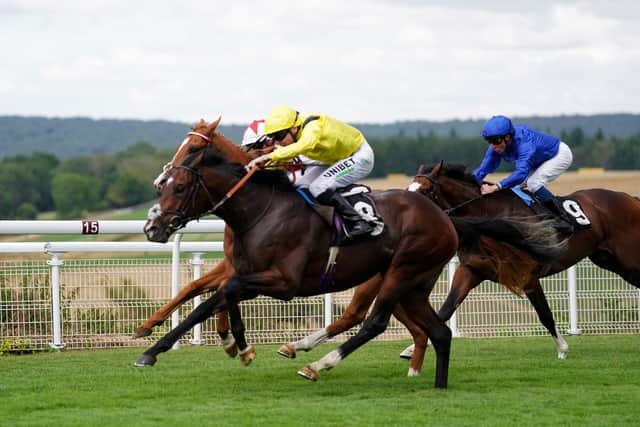 Fellowes is also formulating plans for Vintage Stakes winner Marbaan.