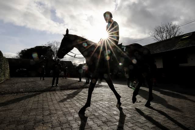 “We seem to have a lovely, young team of horses that will sustain us over the next few years.”