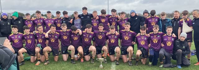 Ard Scoil after their Leinster final win