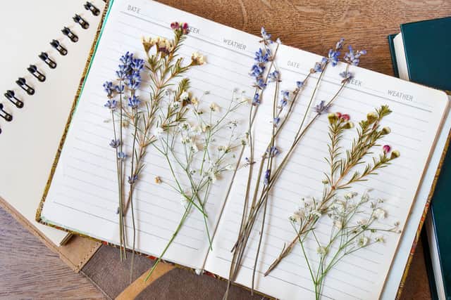 Pick the right flower