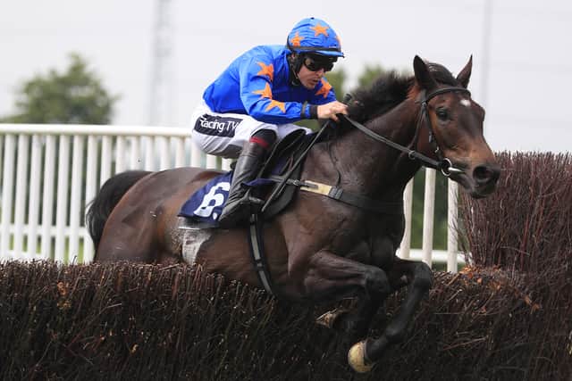 He was also found to have incorrectly lodged ownership details of All Class, Full Noise and Petrol Head – with McNally admitting he was “unaware of the requirement to register the correct ownership details”.